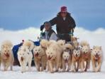 Greenland holiday, dogsledding and skiing
