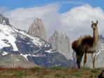 Trekking holiday in Patagonia