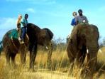 Victoria Falls to Cape Town tour