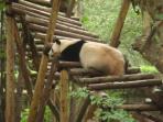 China to Laos overland tour