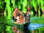 Borneo holiday, Sarawak highlights