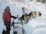 Slovakia dogsledding weekend