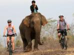 South Laos Cycling holiday