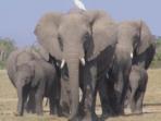 Family cycling holiday in Kenya & Tanzania