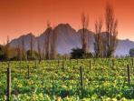 Classic South Africa self drive holiday