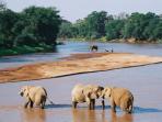 Kenya holiday, safari and cultural tour