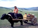 Trans Mongolian rail journey, Beijing to Ulaanbaatar