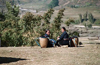A Rest Stop