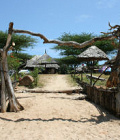 Beach on Manda Island