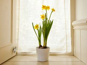 Peak District self catering cottages, England