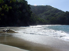 Tobago beach accommodation