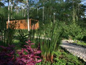 Ecuador rainforest ecolodge