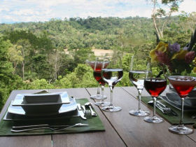 Ecuador rainforest ecolodge