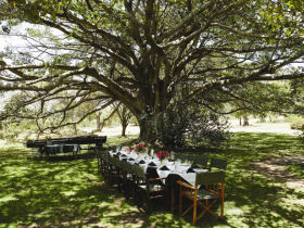 Lake Naivasha safari lodge in Kenya