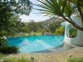 The Chemical-free Swimming Pool