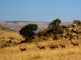 South Africa
