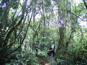 Kilimanjaro lodge and campsite accommodation, Tanzania