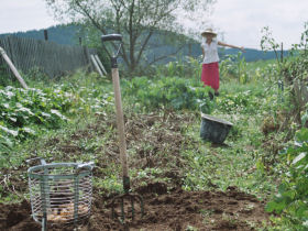 Czech Republic farmstay accommodation