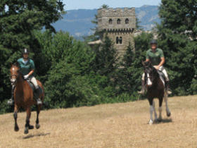 Italian castle
