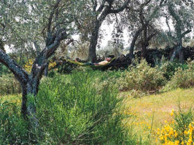 Extremadura self catering accommodation, Spain