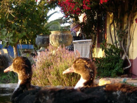 Algarve holiday accommodation