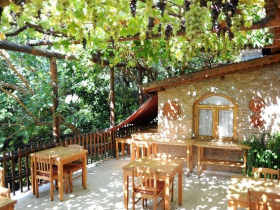 Honeymoon to Turkey, Watermill