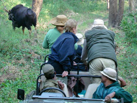 Kanha tiger safari lodge, India