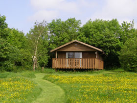 Nuthatch Lodge, from the meadow in May