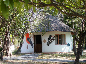 Volunteer with children & animals in South Africa