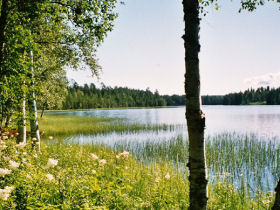 Finland organic accommodation with activities