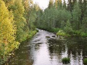 Finland organic accommodation with activities