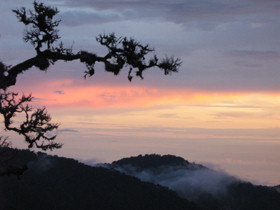 Cloud Forest lodge accommodation in Costa Rica