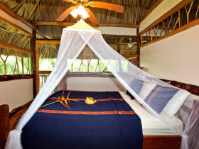 Jungle lodge