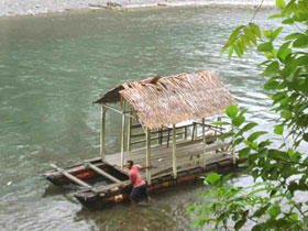 Orangutan wildlife treks in Sumatra