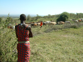 Maasai Mara safari camp in Kenya