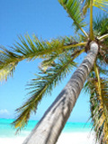 Zanzibar beach