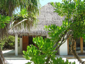Island Hideaway