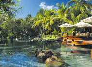 Lush gardens by the pool
