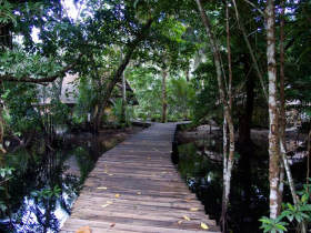 Micronesia holidays, Kosrae village ecolodge and dive resort