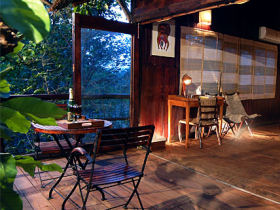 Bandhavgarh tree house accommodation in India