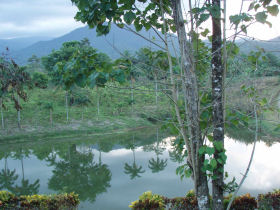 Costa Rica rainforest ecolodge