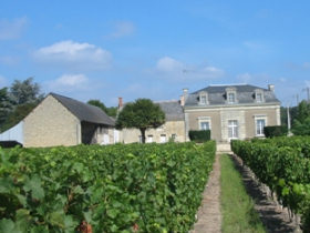 Loire Valley gourmet