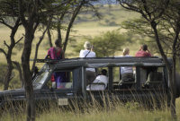 Safari, Masai Mara luxury safari camp