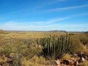 Scenery, Luxury safari lodge in the Southern Kalahari