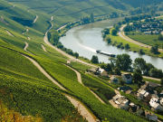 Vineyards, Self-catering accommodation, Ruwer Valley, Germany