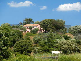 Corsica villa holiday with a private pool, Campo Longo