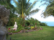 garden, Maui self-catering ecolodge, Hawaii