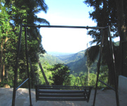 Sri Lanka boutique hotel, Kandy_swing