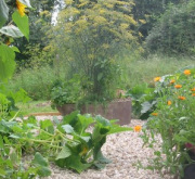 Self catering stone cottage in the Loire Valley_herb garden