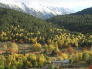 Eco lodge in Planes, France_scenery